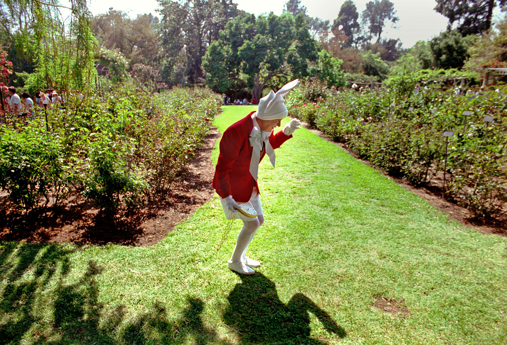 The White Rabbit, Pasadena, California