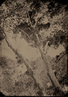 All photographs and related content contained herein © MARK ELSON.