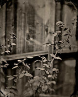 All photographs and related content contained herein © MARK ELSON.