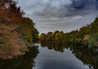All photographs and related content contained herein © MARK ELSON.