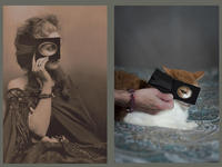All photographs and related content contained herein © MARK ELSON.