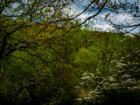 All photographs and related content contained herein © MARK ELSON.