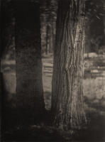 All photographs and related content contained herein © MARK ELSON.