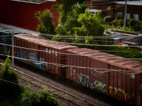 All photographs and related content contained herein © MARK ELSON.