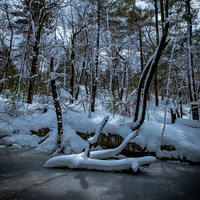 All photographs and related content contained herein © MARK ELSON.