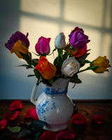 All photographs and related content contained herein © MARK ELSON.