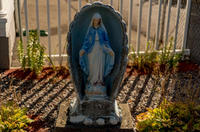 All photographs and related content contained herein © MARK ELSON.
