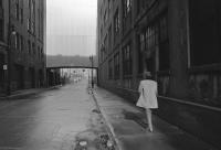 All photographs and related content contained herein © MARK ELSON.