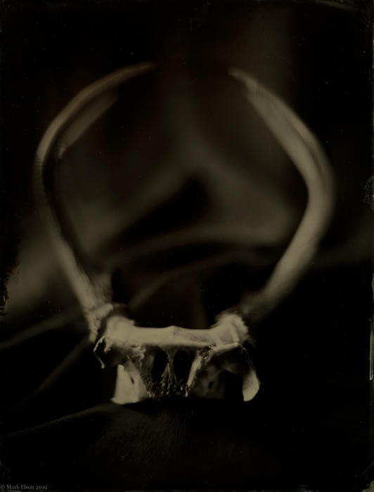 Antlers, Lowell, 
Tintype