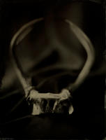 All photographs and related content contained herein © MARK ELSON.