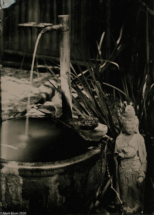 Sarah's Garden, 
Tintype