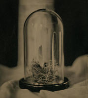 All photographs and related content contained herein © MARK ELSON.
