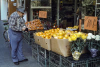 All photographs and related content contained herein © MARK ELSON.