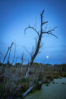All photographs and related content contained herein © MARK ELSON.