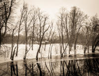 All photographs and related content contained herein © MARK ELSON.