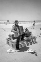All photographs and related content contained herein © MARK ELSON.