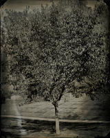 All photographs and related content contained herein © MARK ELSON.