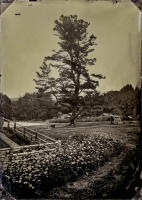 All photographs and related content contained herein © MARK ELSON.